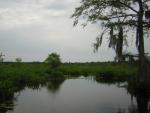 DSCN1660.jpg
