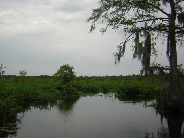 DSCN1660.jpg