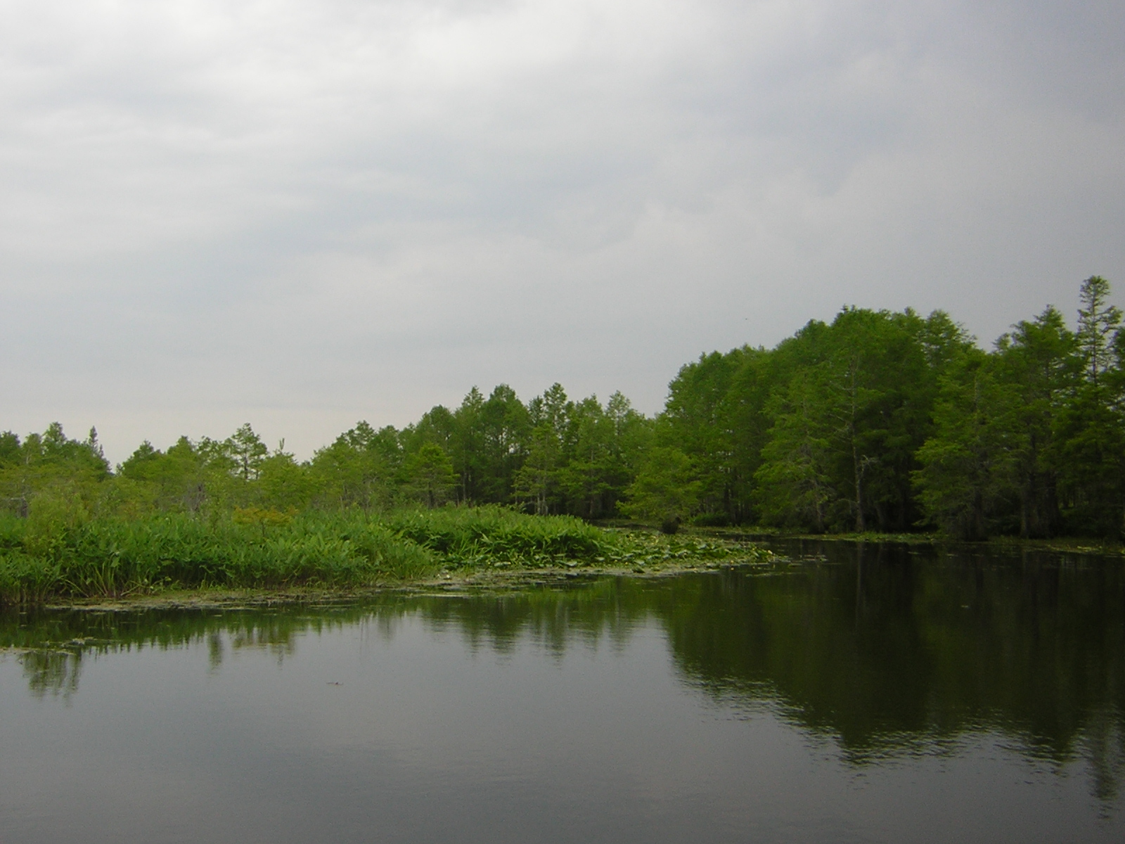 DSCN1661.jpg