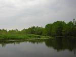 DSCN1661.jpg