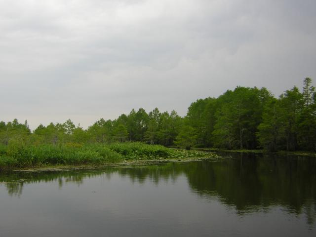 DSCN1661.jpg