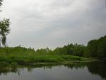 DSCN1662.jpg