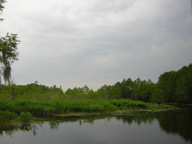 DSCN1662.jpg