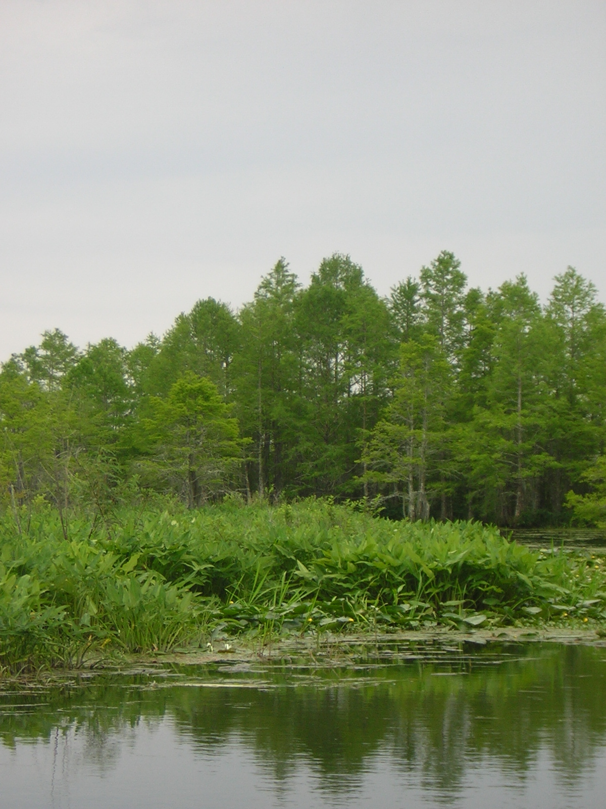 DSCN1663.jpg