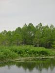 DSCN1663.jpg