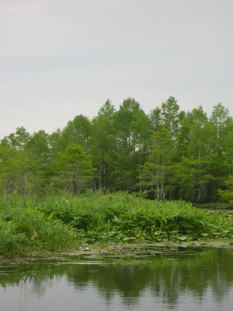 DSCN1663.jpg