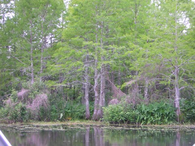 DSCN1664.jpg