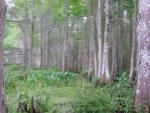 DSCN1666.jpg
