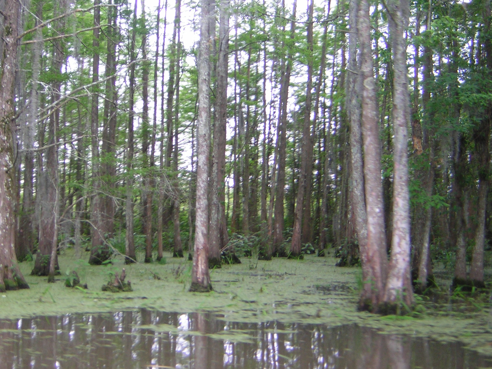 DSCN1667.jpg