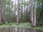 DSCN1667.jpg