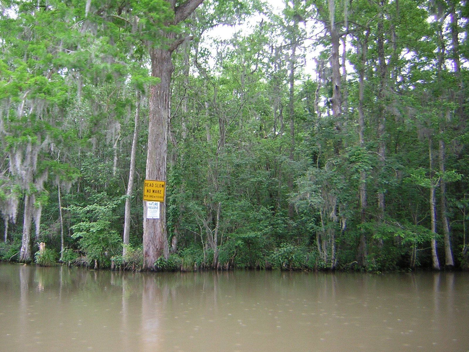 DSCN1668.jpg