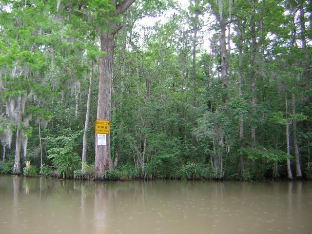 DSCN1668.jpg