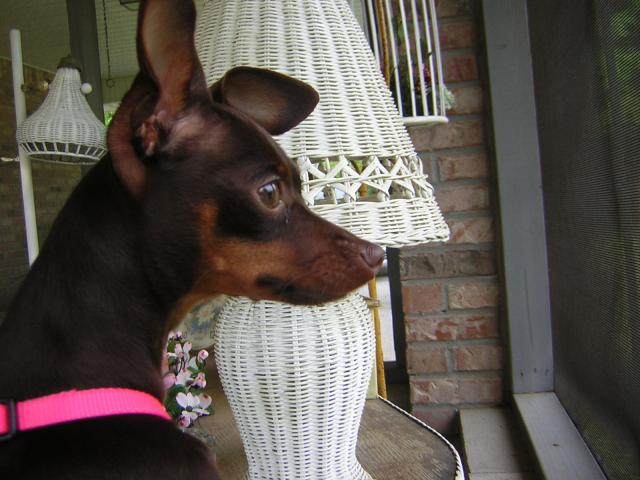 DSCN1678.jpg