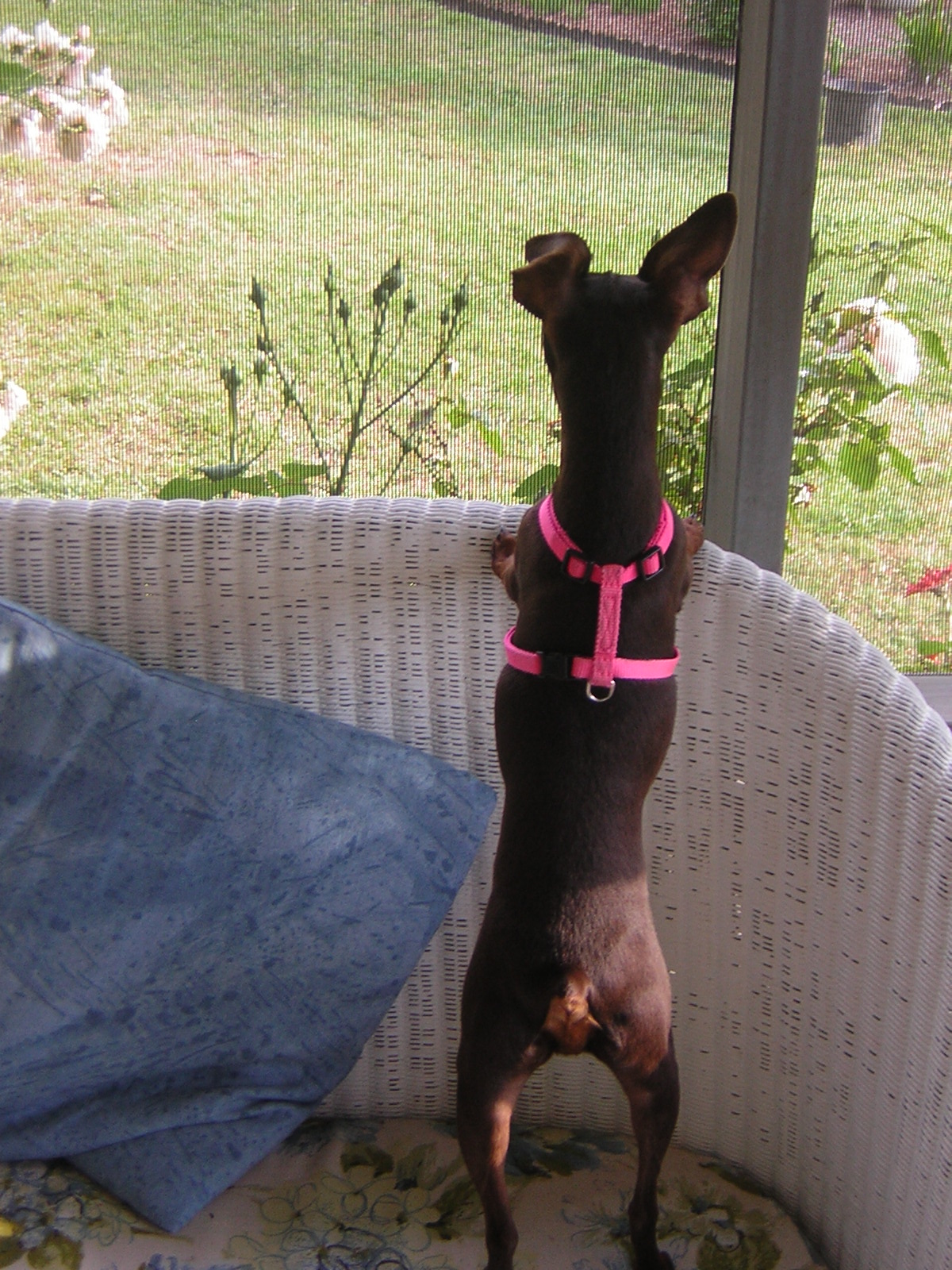 DSCN1681.jpg