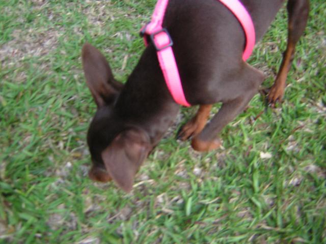 DSCN1718.jpg