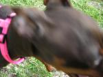 DSCN1719.jpg