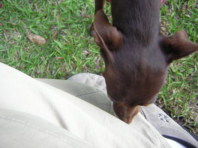 DSCN1720.jpg