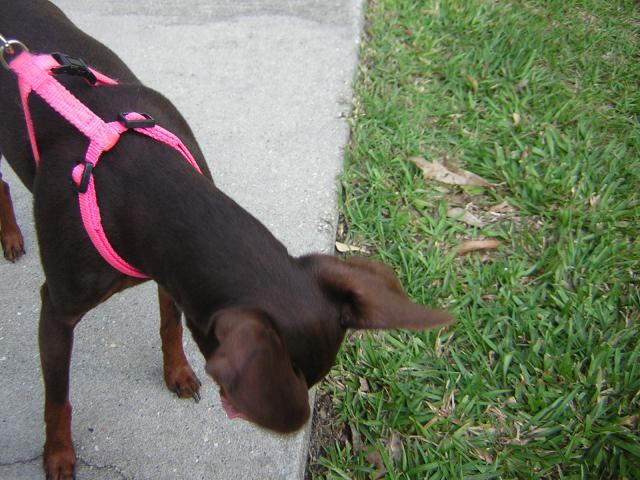 DSCN1721.jpg