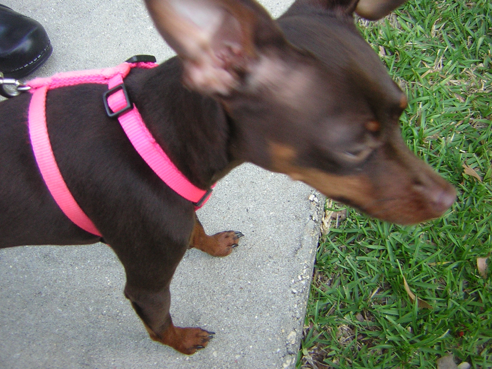 DSCN1722.jpg