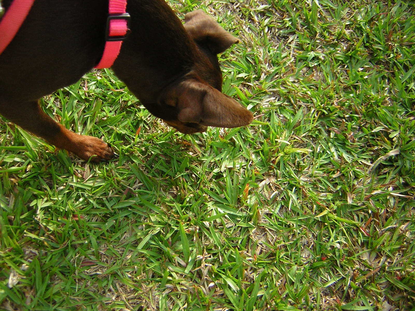 DSCN1727.jpg