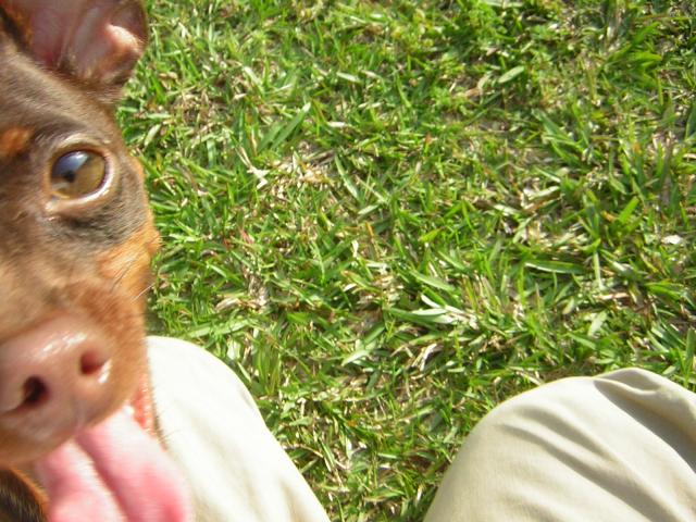 DSCN1728.jpg
