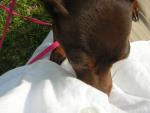 DSCN1729.jpg
