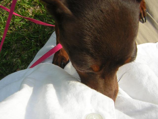 DSCN1729.jpg