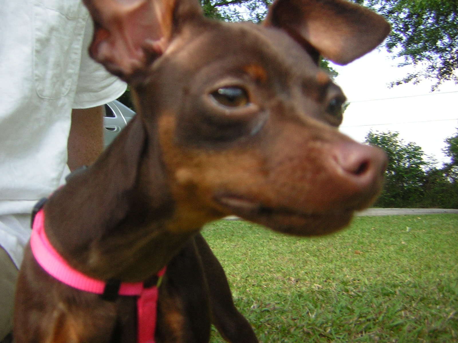 DSCN1731.jpg