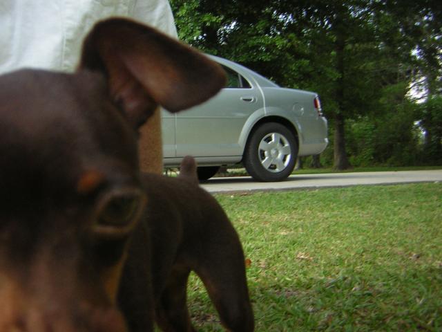 DSCN1732.jpg