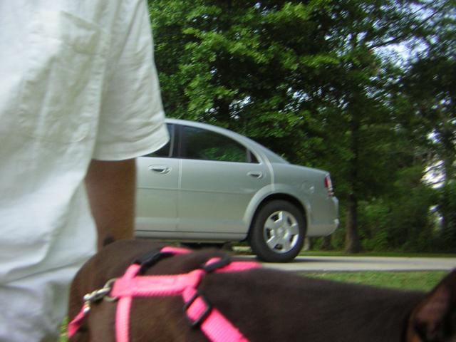 DSCN1733.jpg