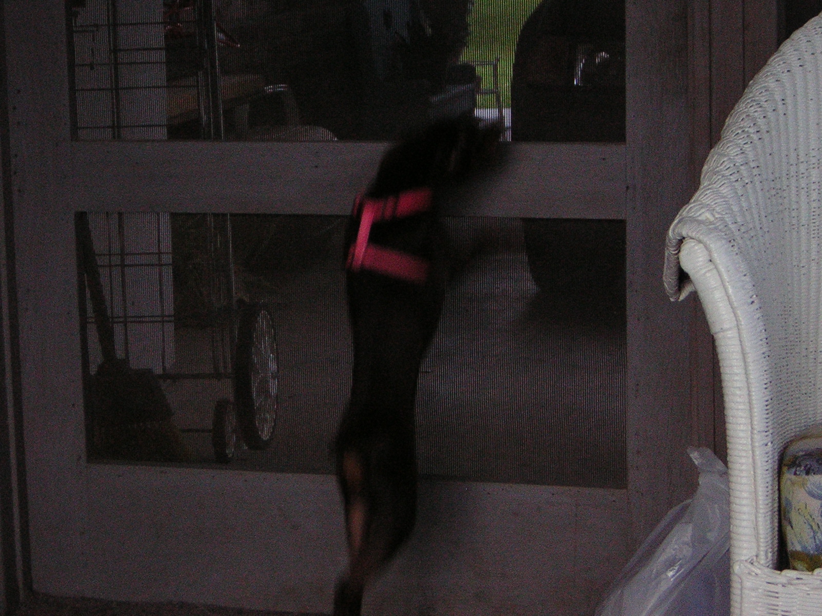 DSCN1734.jpg