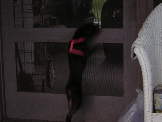 DSCN1734.jpg