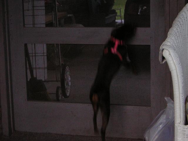 DSCN1735.jpg