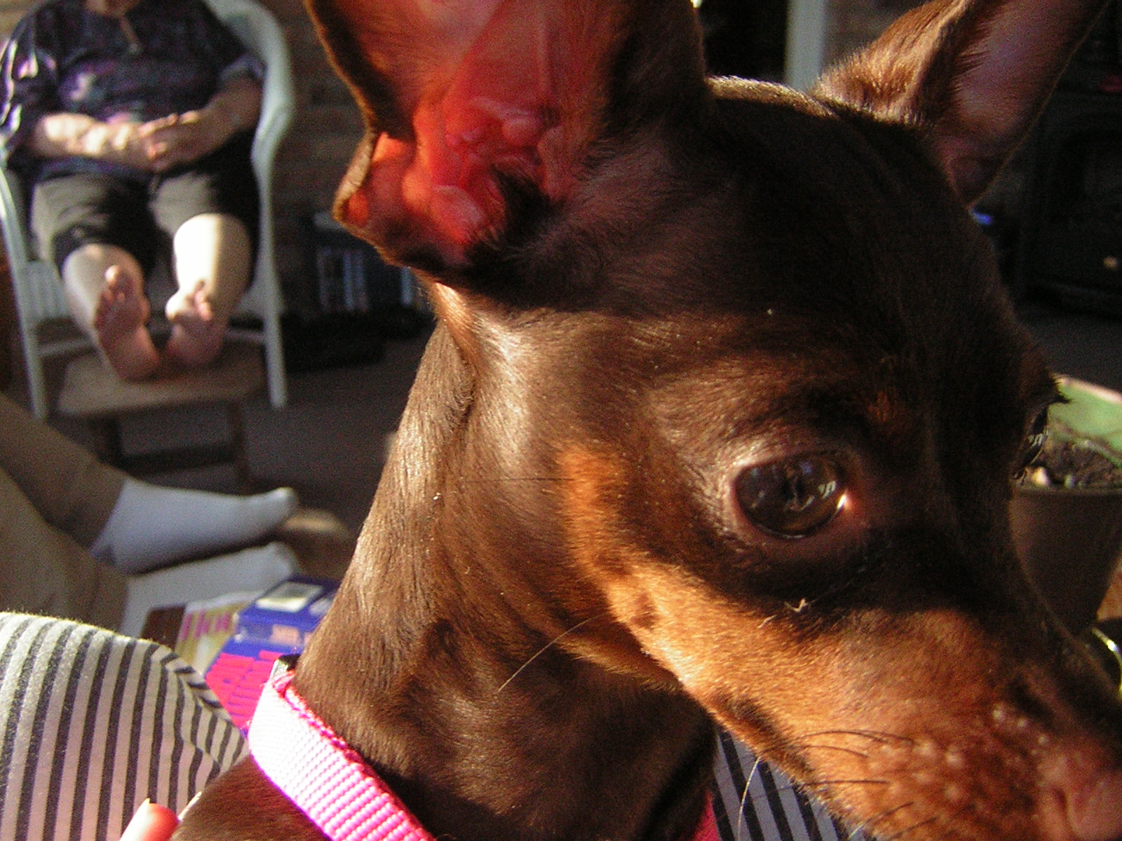 DSCN1742.jpg
