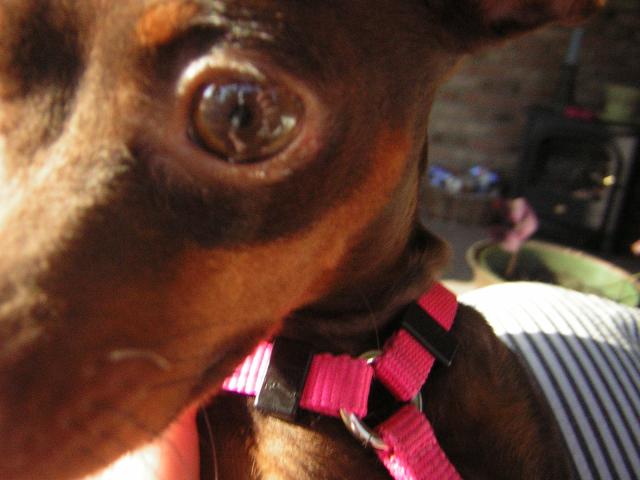 DSCN1744.jpg