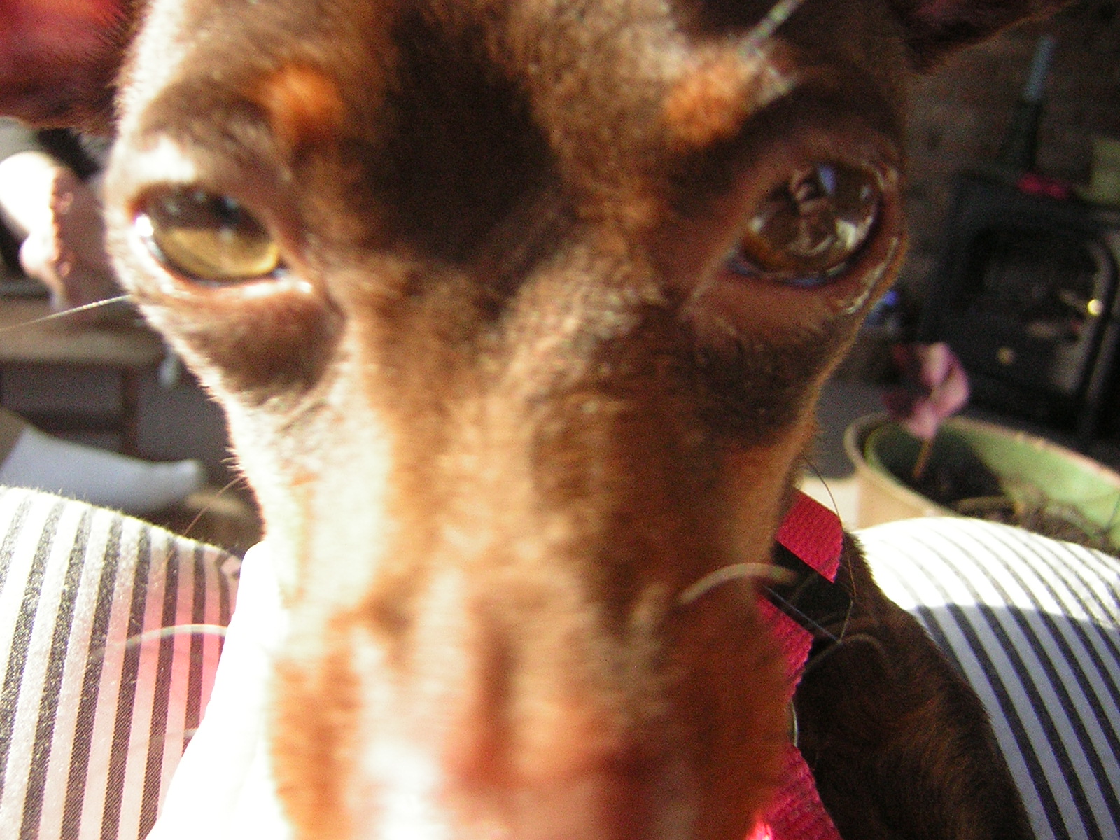 DSCN1745.jpg