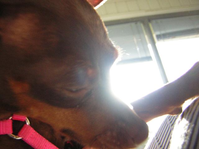 DSCN1747.jpg