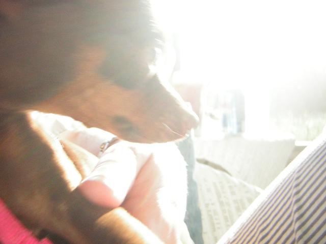 DSCN1748.jpg