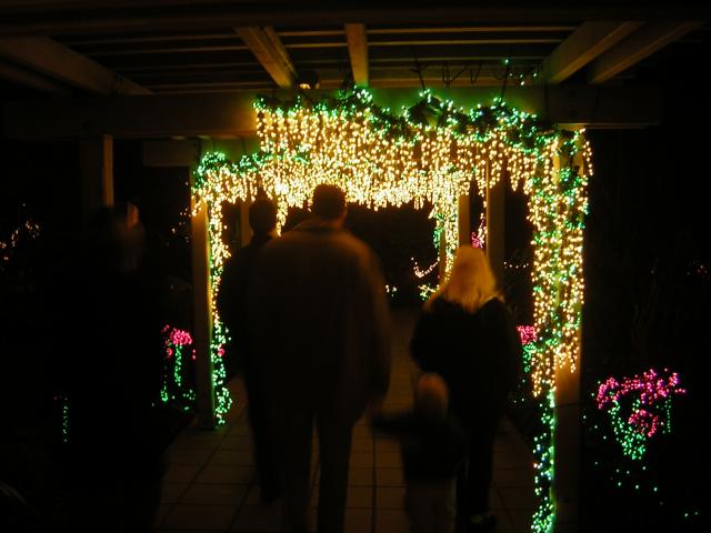 DSCN1029.jpg