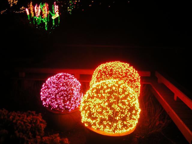 DSCN1031.jpg