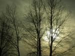 DSCN0670.jpg