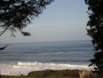 DSCN0675.jpg