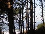 DSCN0676.jpg