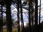 DSCN0677.jpg