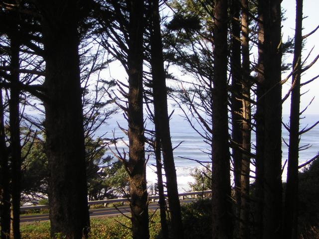 DSCN0677.jpg