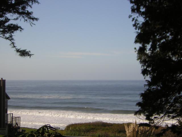 DSCN0678.jpg