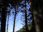 DSCN0680.jpg