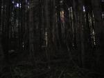DSCN0681.jpg