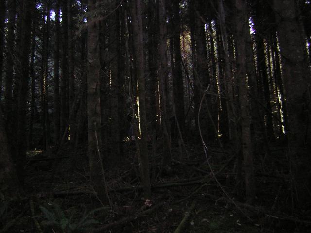 DSCN0681.jpg