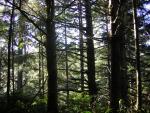 DSCN0683.jpg